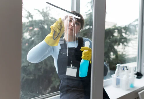 Nettoyage de vitres intérieures et extérieures à Peyraud